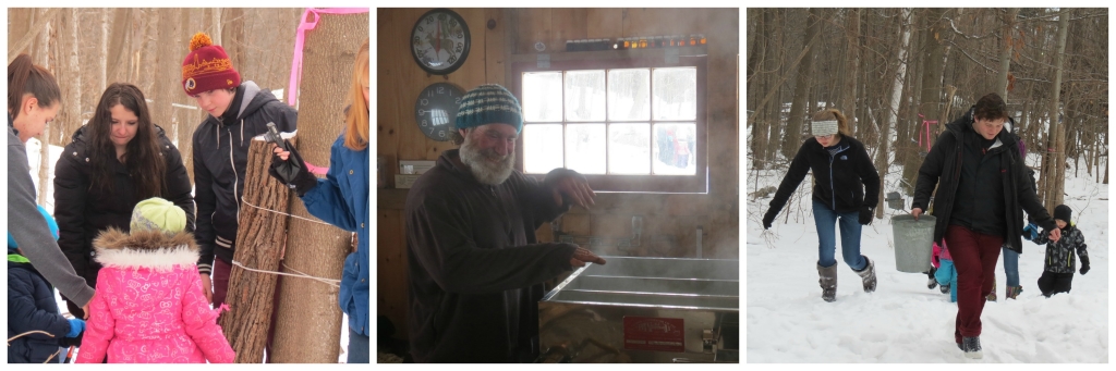 Maple syrup photos