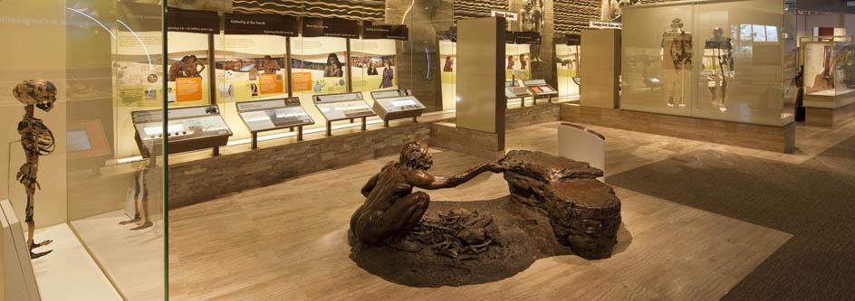 Smithsonian's National Museum of Natural History exhibition Exploring Human Origins