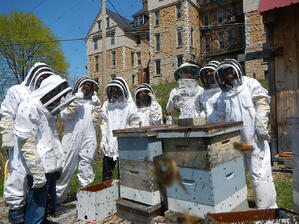 Beehives 2015