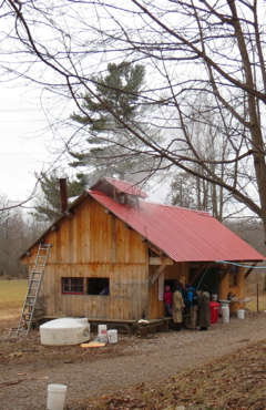 Tour at the Sugar House 370x240