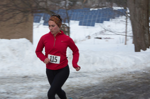 maple_run_solar_panels