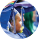 admission-to-rock-point-school