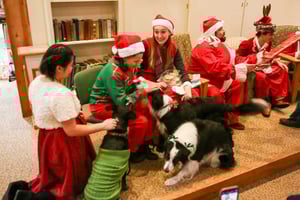 holiday-celebration2