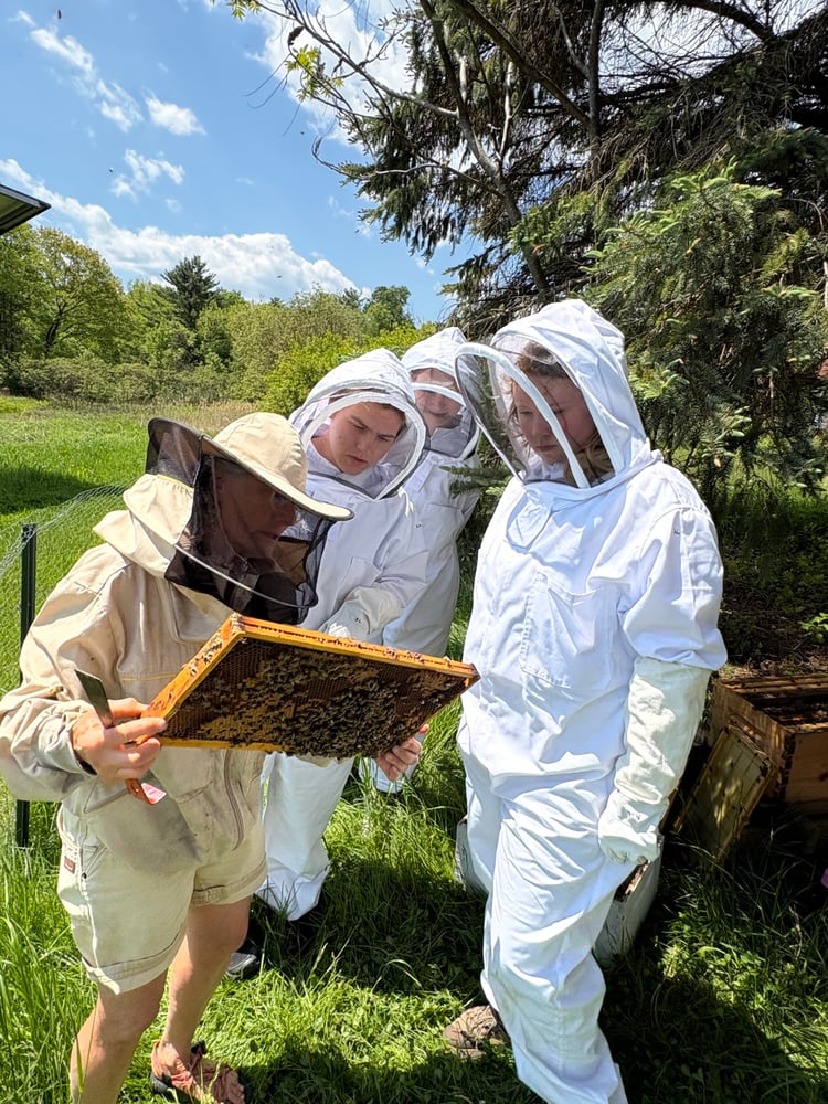 Student beekeepers observing a hive Student beekeepers observing a hive
