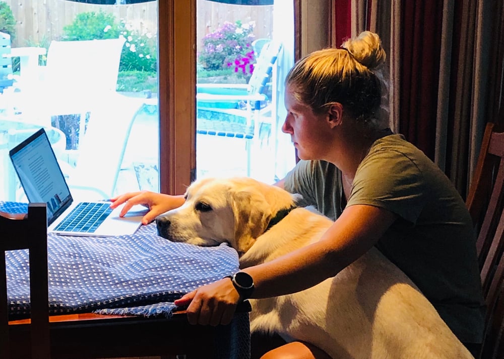 Working from home with a dog