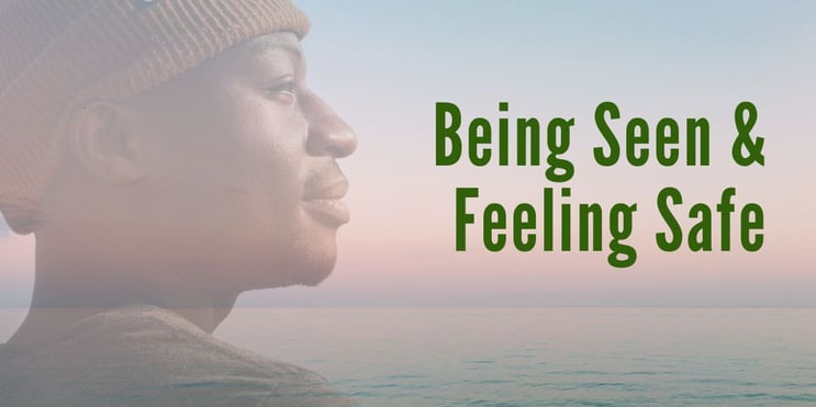 "Being Seen and Feeling Safe" text overlayed on a calm water landscape with the face of a man of color in placed semi-transparent on the left side.