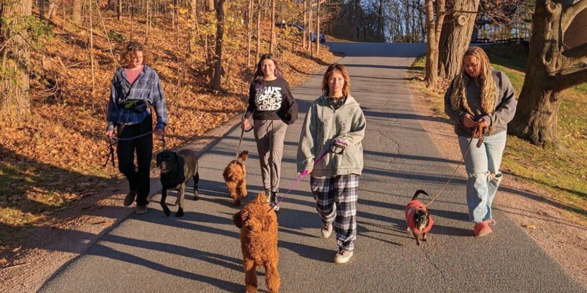 A group of students from Rock Point School walk down the path on campus with some of the many dogs at school.