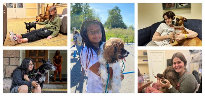 A montage of 5 different students cuddling with different dogs throughout the Rock Point School campus. 