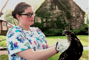 Julia holds a bird of prey