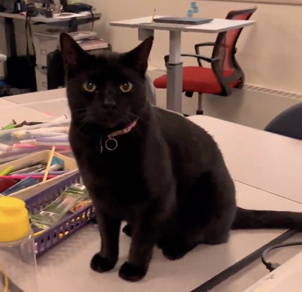 Screenshot 2026-04-09 at 10.20.15 AM