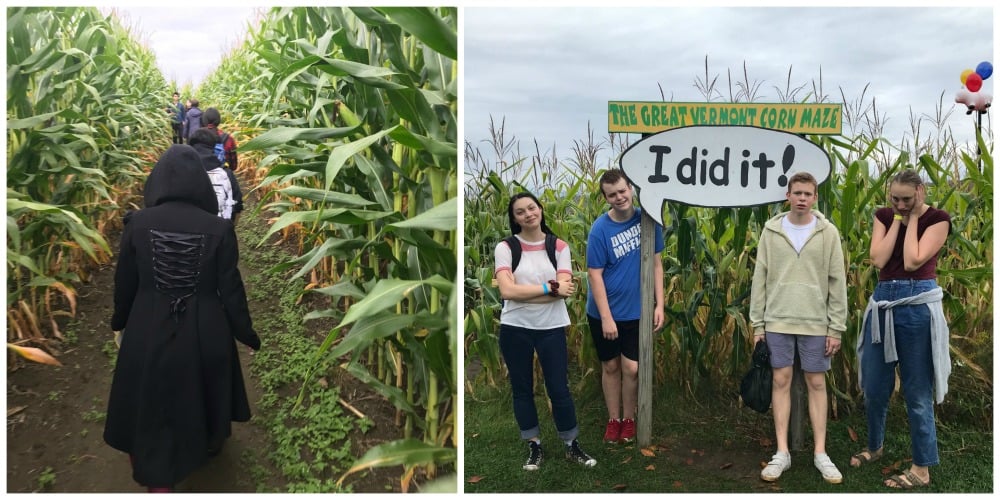 cornmaze2019