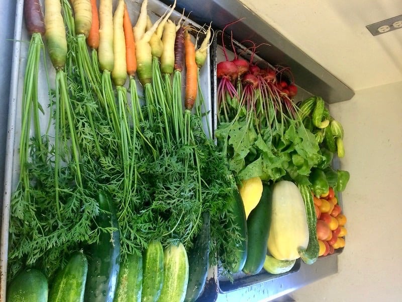 produce from the school garden