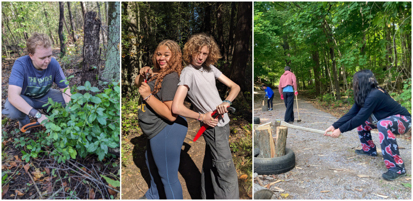 Collage of photos of students cutting buckthorn, posing with tools, and chopping wood
